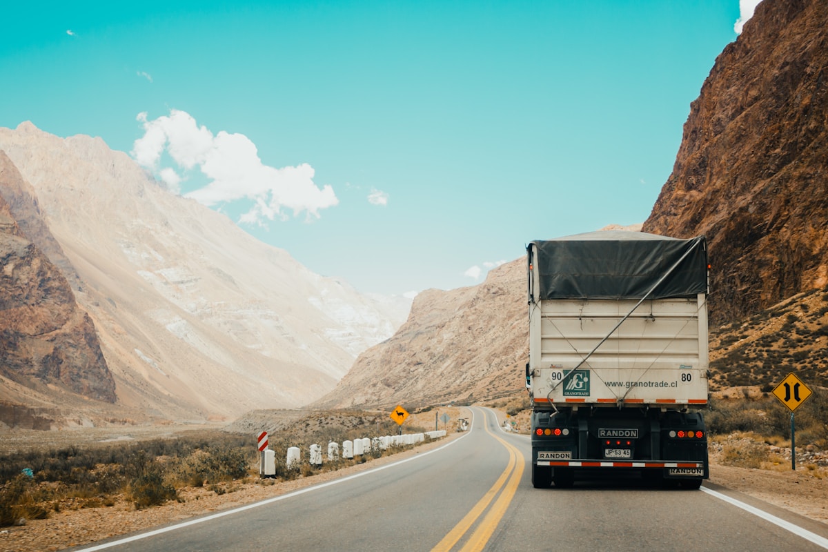 SUN MOVERS LLC